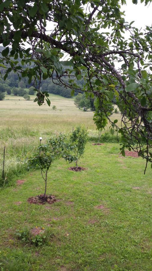 Apartment Ema Stolac エクステリア 写真